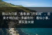 我以为只是“看看澳门开奖网”，后来才明白这一步最危险：看似小事，其实是关键
