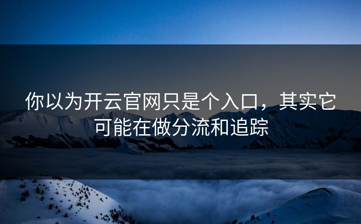 你以为开云官网只是个入口，其实它可能在做分流和追踪