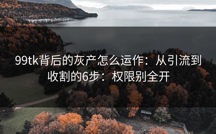 99tk背后的灰产怎么运作：从引流到收割的6步：权限别全开