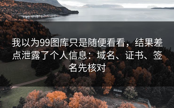 我以为99图库只是随便看看，结果差点泄露了个人信息：域名、证书、签名先核对